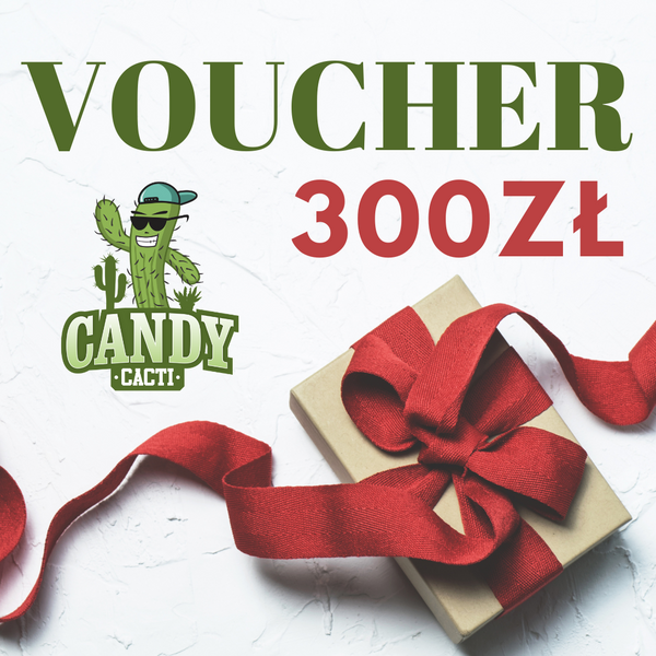 Voucher 300 PLN