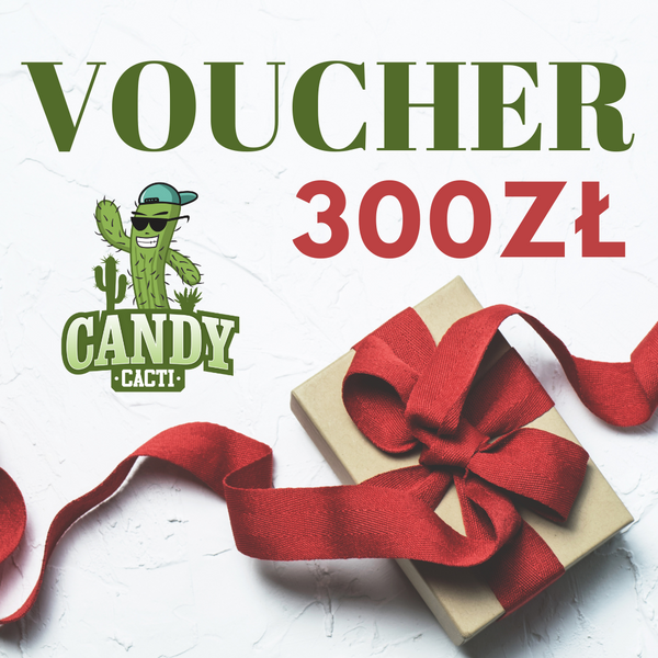 Voucher 300zł