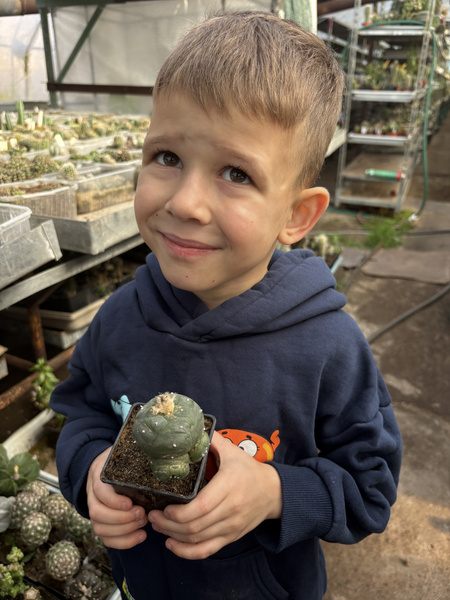 Lophophora alberto-vojtechii