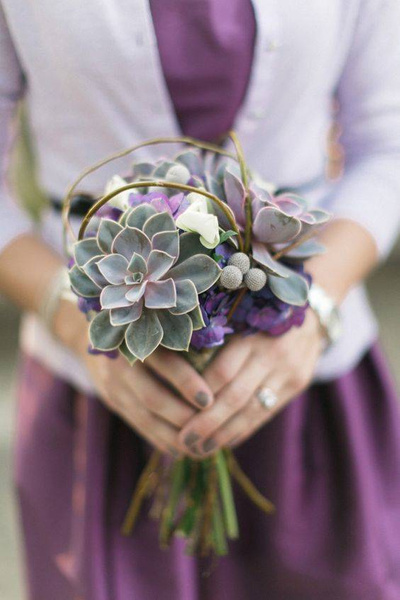 Sukulenty do bukietów ślubnych itd.
